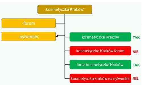 Dopasowanie wykluczajace w AdWords