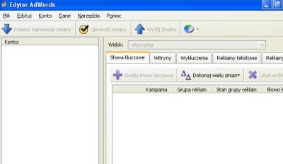 Zrzut ekranu edytora AdWords