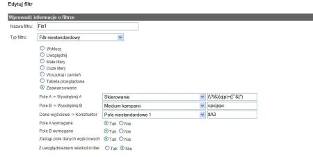 Filtr w Google Analytics, który pokazuje wyszukiwania z AdWords