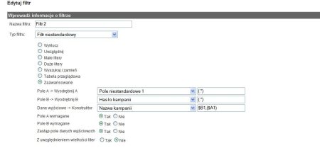 Filtr w Google Analytics, który pokazuje wyszukiwania z AdWords