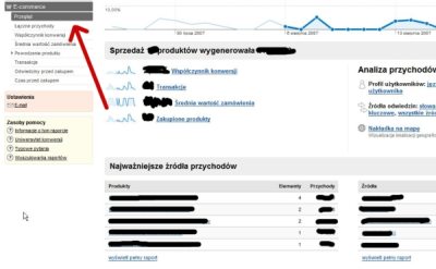 Funkcjonalność Ecommerce w Google Analytics