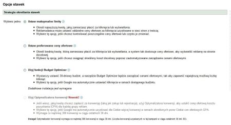 Nieaktywny optymalizator konwersji w interfejsie AdWords