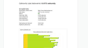 Serwis sprawdzający czas ładowania witryny