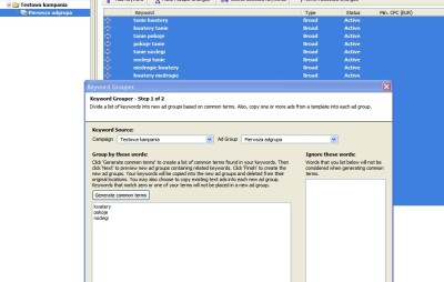 Narzędzie keyword grouper w Edytorze AdWords
