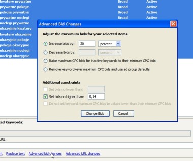 Zaawansowana zmiana stawek w AdWords