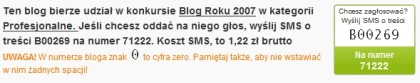 Udział bloga Marketing w Internecie w konkursie Blog Roku 2007