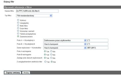 Filtr Google Analytics dla kampanii AdWords