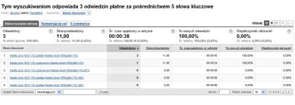 Filtr Google Analytics dla kampanii AdWords - raport dla odwiedzin