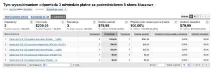 Filtr Google Analytics dla kampanii AdWords - raport dla Ecommerce druga