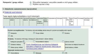 Kategorie specjalne w Google AdWords