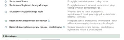 Raport skuteczność miejsc docelowych w Google AdWords