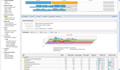 adCenter analytics - panel treści witryny