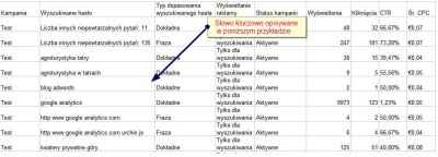 Raport skuteczności w AdWords