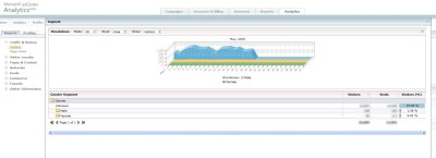 adCenter analytics - segmentacja użytkowników po płci