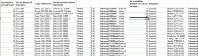 Google AdWords - aktualizacja bazy danych