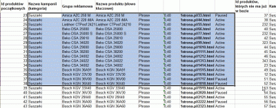 Google AdWords - import bazy danych do Edytora AdWords