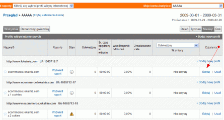 Google Analytics - dane kosztowe z konta Google AdWords