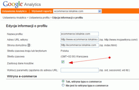 Google Analytics - dane kosztowe z konta Google AdWords