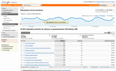 Raport Najczęstsze strony docelowe w Google Analytics