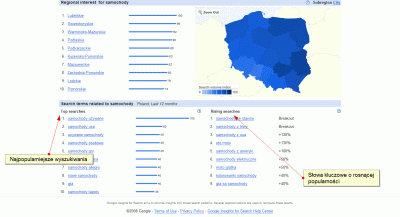 Google Insights for Search - najważniejsze wyszukiwania