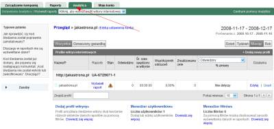 Sekcja Google Analytics w koncie Google AdWords