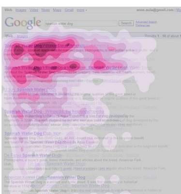 Heatmapa z wyników wyszukiwania Google i badania eyetrackingowego