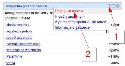 Konfiguracja gadżetu Google Insights for Search