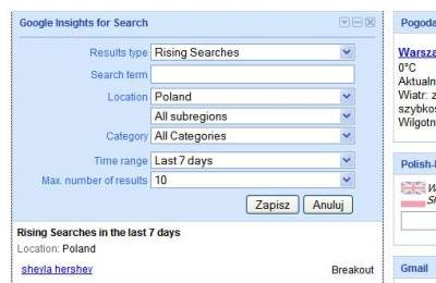 Ustawienia gadżetu Google Insights for Search