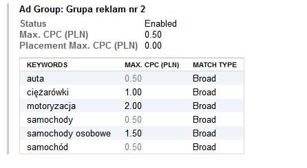 Grupa reklamowa AdWords