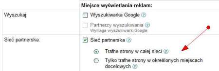 Ustawienia kampanii AdWords