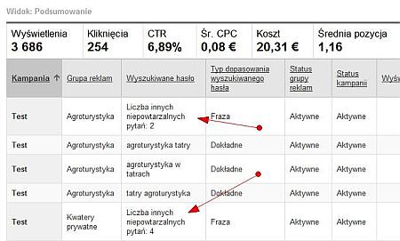 Raport skuteczność wyszukiwanego hasła w AdWords