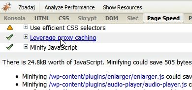 Page Speed - optymalizacja strony docelowej