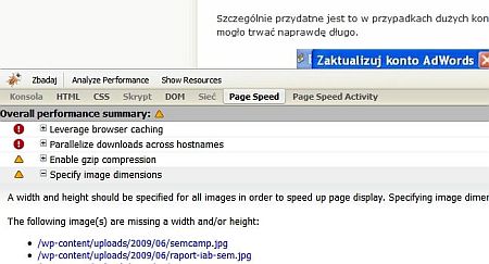 Wtyczka Page Speed