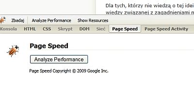 Analiza wtyczki Page Speed