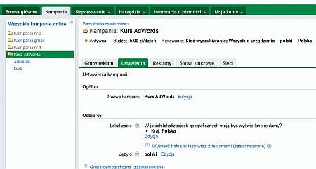 Ustawienia kampanii adwords