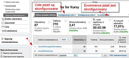 Zmienne niestandardowe w Google Analytics - przykład raportu