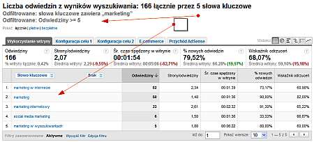 Wynik wykorzystania filtra dla słowa marketing