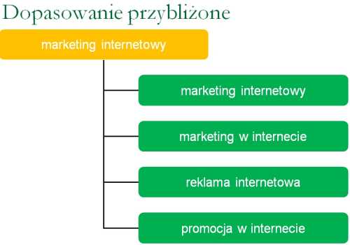 Dopasowanie przybliżone w AdWords