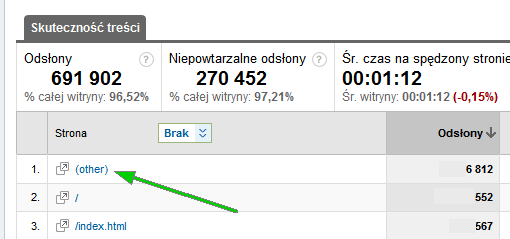 Raporty other w Google Analytics