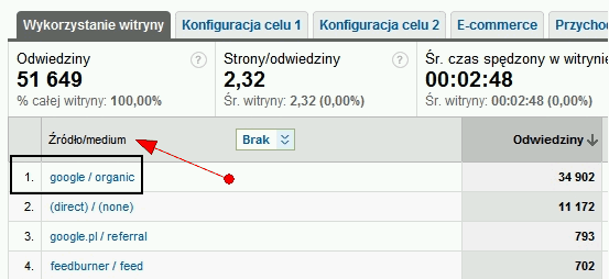 Ruch internetowy w Google Analytics