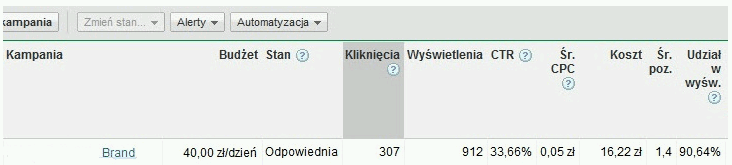 Analiza zapytań marki w kampanii AdWords