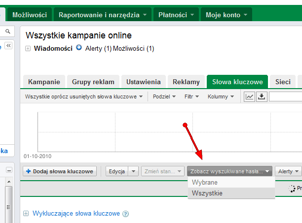 Analiza zapytań marki w kampanii AdWords